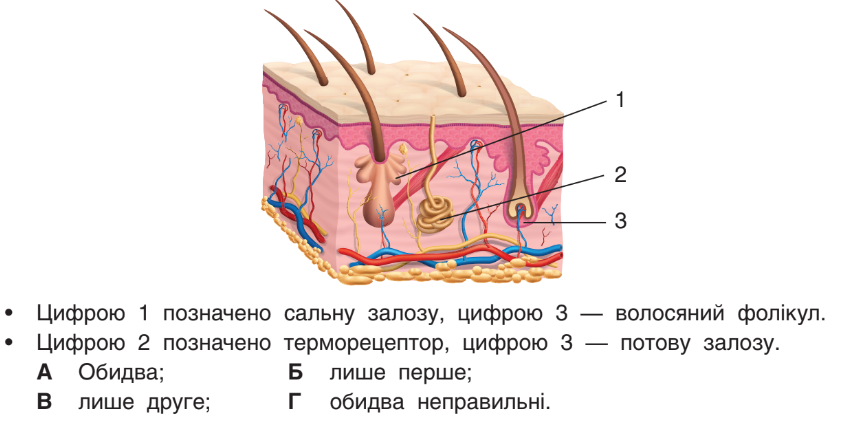 0402yq5d-8799-864x425.png