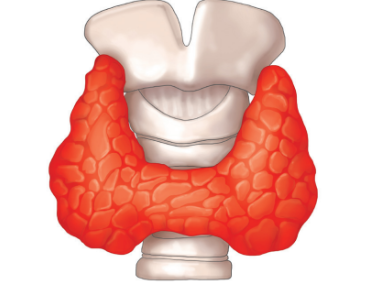 0402yq9w-cf21-371x287.png