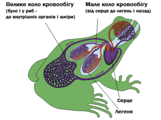0402ysuk-15b2-319x237.png