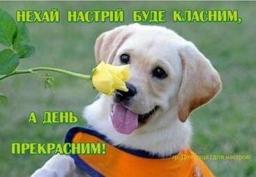 Санек Макеевский on Twitter: "Доброго раночку всім та гарного дня! https://t.co/Gp2upDXfRp" / Twitter