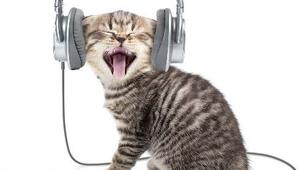 Listening