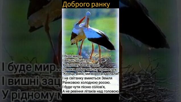 Доброго ранку Україно! - YouTube