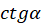 0402yzag-5047-42x25.png
