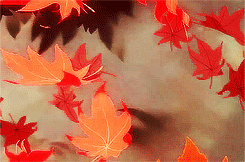 0402yzaw-a392-245x162.png