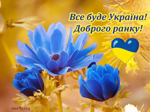 0402z255-5bfc-486x364.jpg