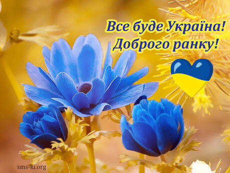 0402z2i4-d30c-460x345.jpg