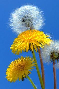 WONDERFUL WORLD