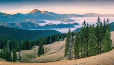 0402z4uo-2554-390x223.png