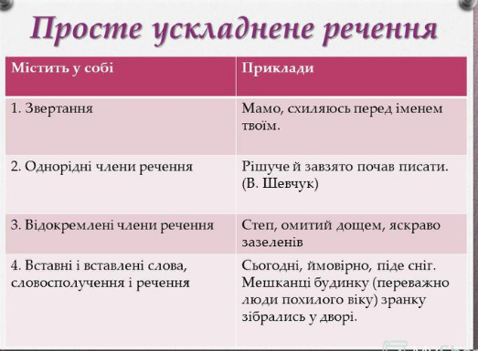 0402z5n3-3355-523x385.png