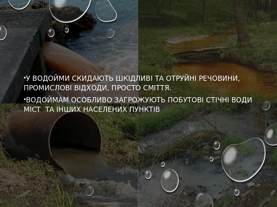 У водойми скидають шкідливі та отруйні речовини, промислові відходи, просто сміття. Водоймам особливо загрожують побутові стічні води міст та інших...
