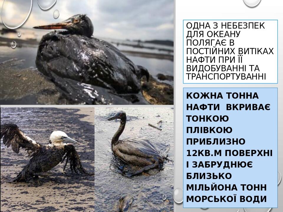 Одна з небезпек для океану полягає в постійних витіках нафти при її видобуванні та транспортуванні Кожна тонна нафти вкриває тонкою плівкою приблиз...