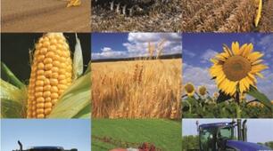 Конкурентні переваги України на світових ринках сільськогосподарської продукції, рудної сировини та металів