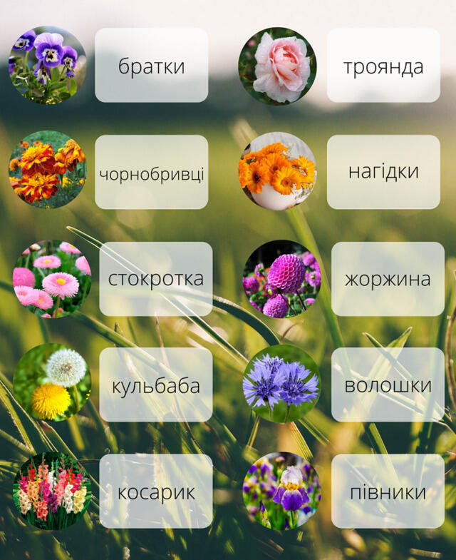 0402z9lc-5826-640x785.jpg