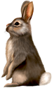 0402za8t-591a-77x126.png