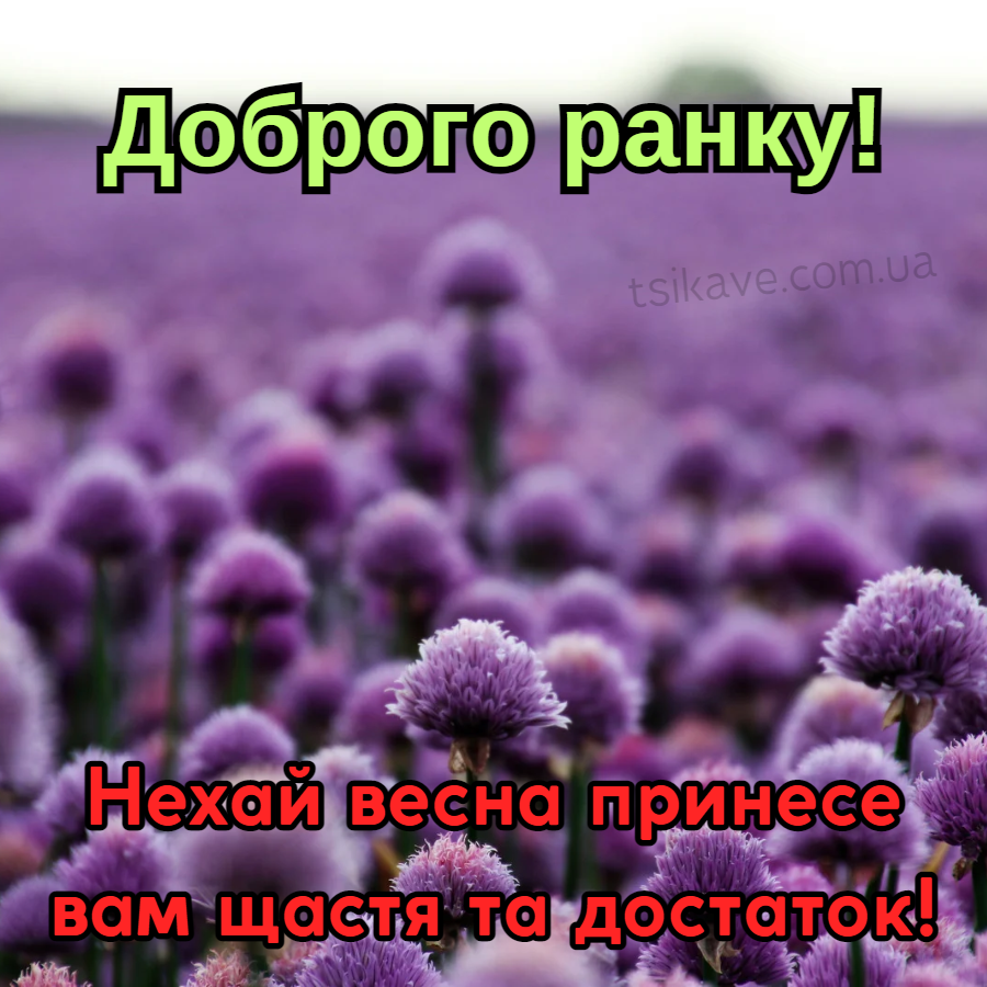 Доброго весняного ранку картинки