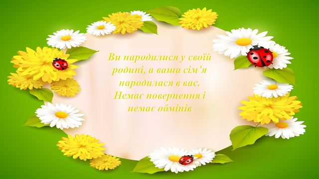 0402zd01-8510-640x360.png