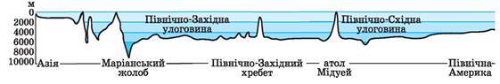 0402zdrx-3c20-561x95.jpg