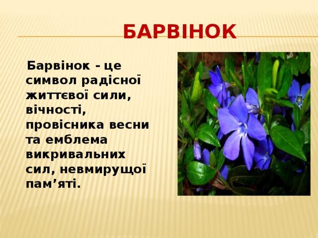 Проект "Рослини - символи України"
