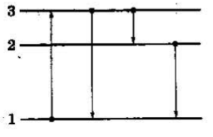 0402zex5-8981-300x193.png