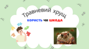 Хрущ. Користь чи шкода?