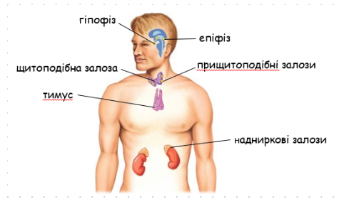 0402zh7y-cab7-475x287.png