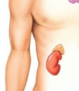0402zhg6-6442-157x182.png