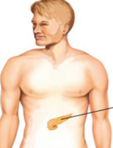 0402zhim-699d-160x209.png