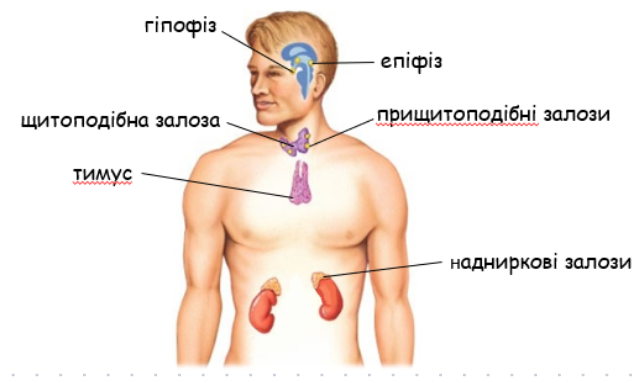 0402zhrb-7d8c-637x383.png