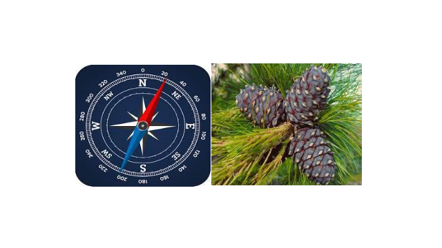 0402zhsl-e495-640x360.png