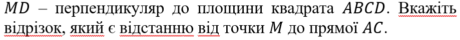 0402zi48-8186-919x81.png