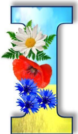 0402zkzd-7096-187x320.png