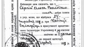 Тестування (підготовка) до НМТ/ЗНО за темою: : "Встановлення комуністичного тоталітарного режиму в Україні".
