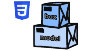 CSS. Box model.