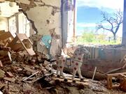 Понад тисячу дитсадків пошкодили росіяни під час війни