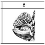 0402zo4v-a9ba-156x157.png