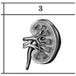 0402zo5t-a698-156x157.png