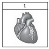 0402zob7-8c86-160x157.png