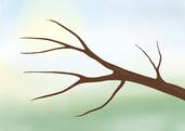 0402zobc-866a-171x121.jpg