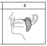 0402zobm-a4b8-160x157.png