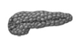 0402zoeq-d112-114x62.png