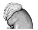 0402zof3-38be-133x105.png