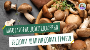 Лабораторне дослідження будови шапинкових грибів
