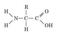 0402zoyq-98f1-204x123.png