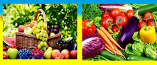 0402zpr5-2633-221x92.png