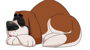 Reading Comprehension Методична розробка з теми "Old dog Sirko"
