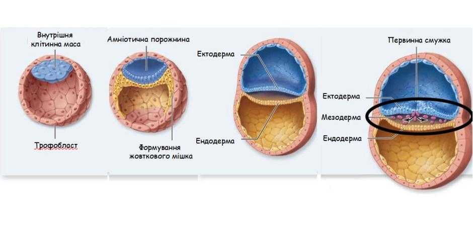 0402zqdn-3c80-940x459.png