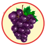 0402zvn3-2397-160x162.png