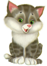 0402zvsb-6e78-159x222.png