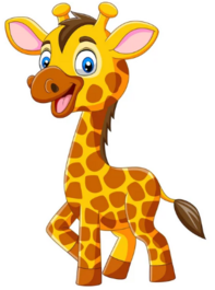 0402zwsy-9903-197x265.png