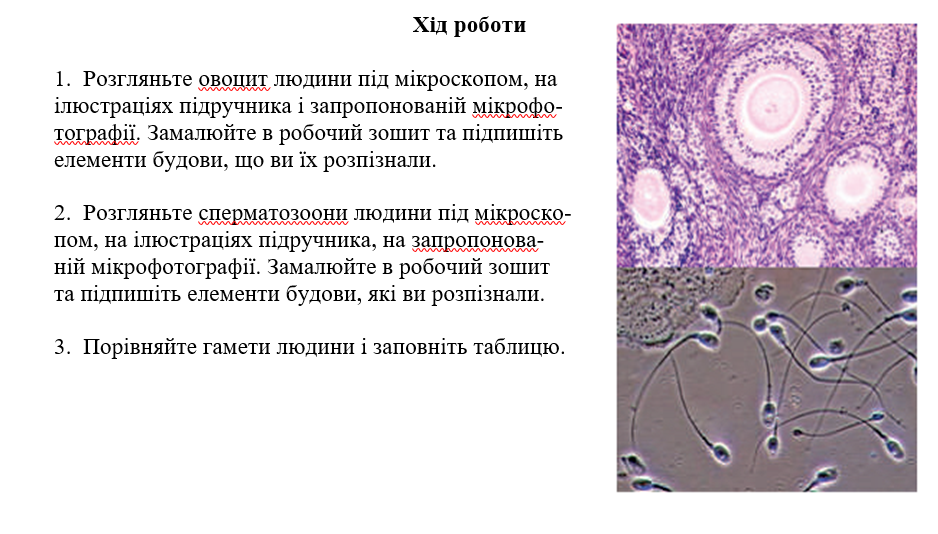 0402zx2j-06c7-938x534.png